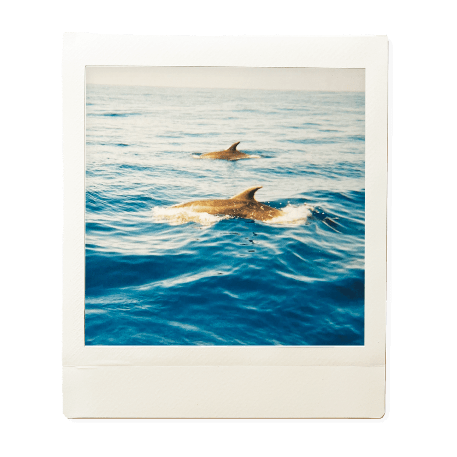 polaroid-02